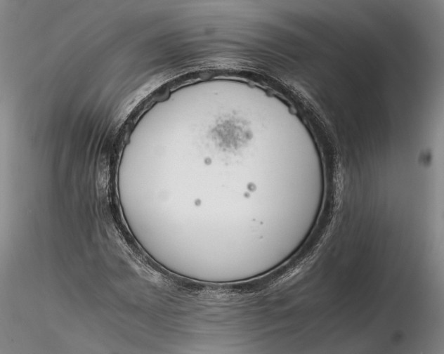 X0000116261065200912211732