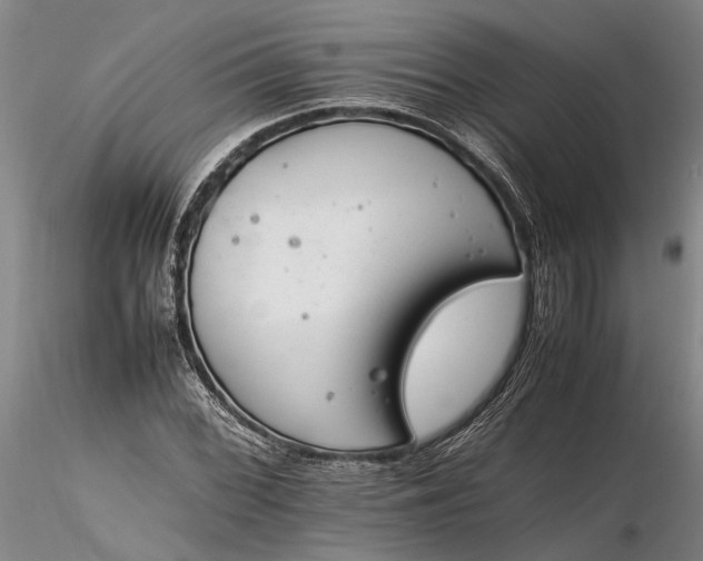 X0000116261068200912211732
