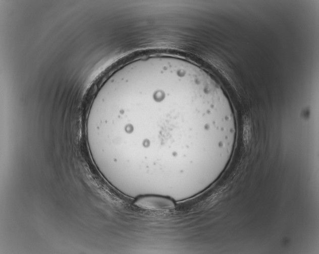 X0000116261069200912211731