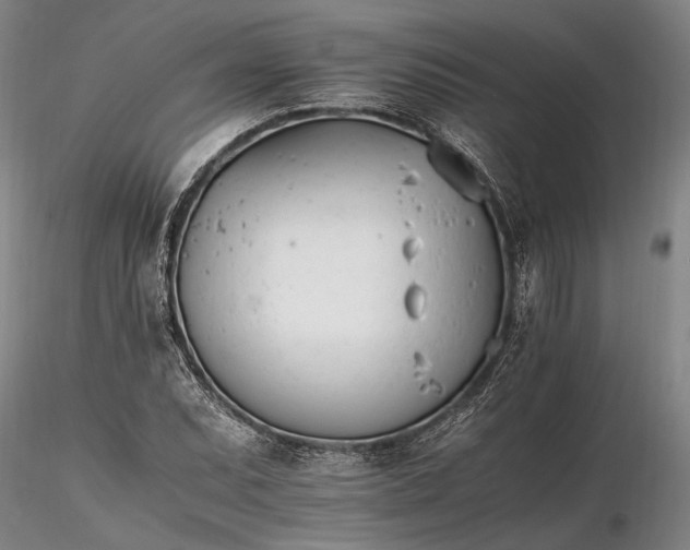 X0000116261071200912211731