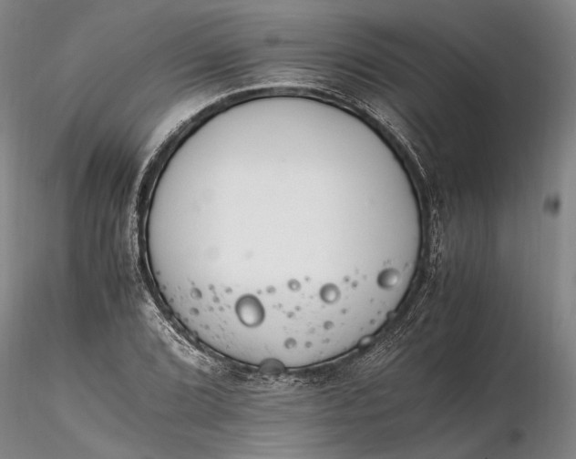 X0000116261072200912211731