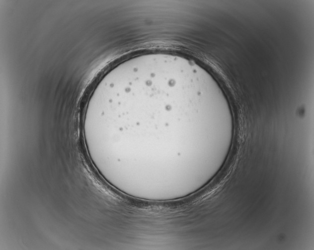 X0000116261075200912211731