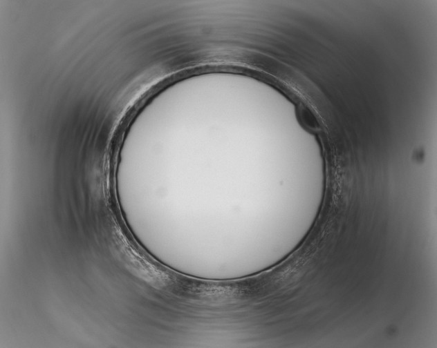 X0000116261076200912211731
