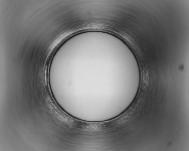 X0000116261078200912211731
