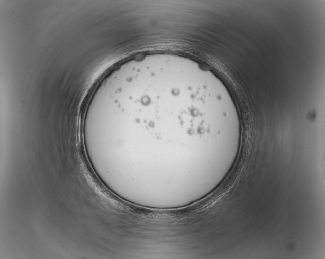 X0000116261079200912211731