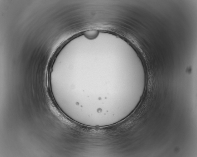 X0000116261080200912211731