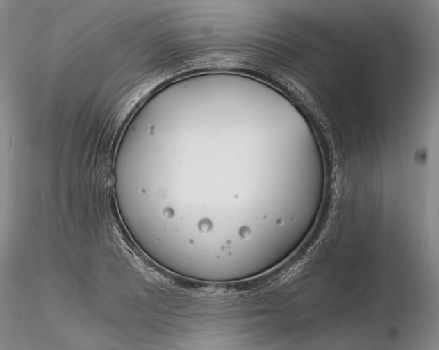 X0000116261081200912211731