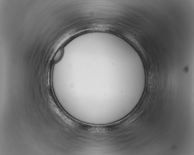 X0000116261083200912211731