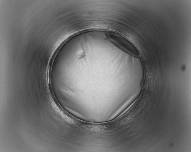 X0000116261084200912211731