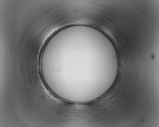 X0000116261087200912211731