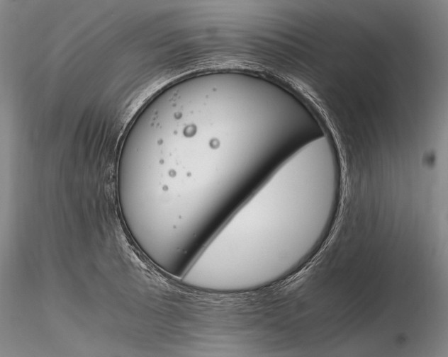 X0000116261089200912211731