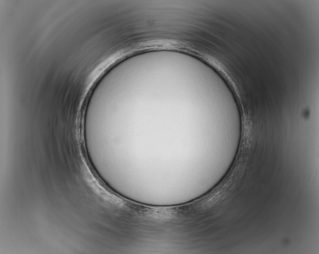 X0000116261090200912211731