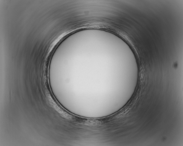X0000116261091200912211731