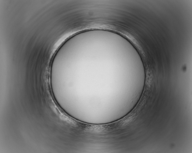 X0000116261094200912211731
