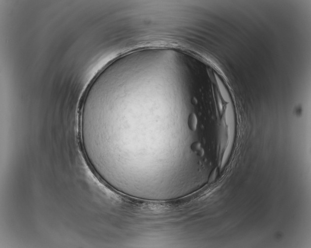 X0000116261095200912211731