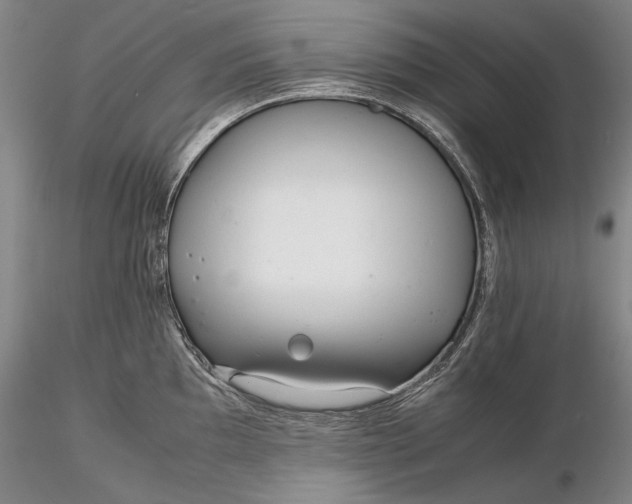 X0000116261097200912211731