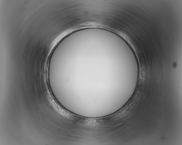 X0000116261098200912211731