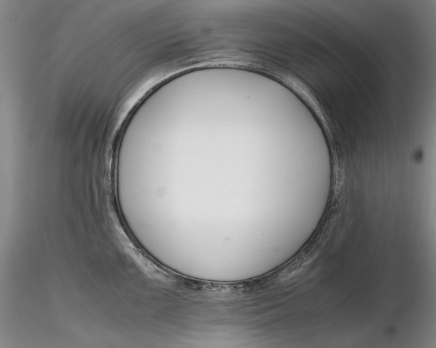 X0000116261099200912211731