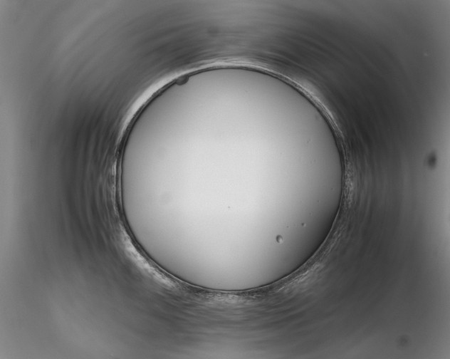 X0000116261100200912211731