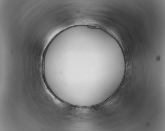 X0000116261103200912211731
