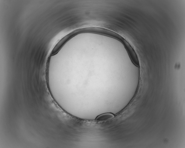 X0000116261104200912211731