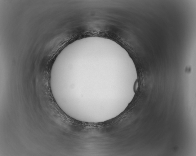 X0000116261105200912211730
