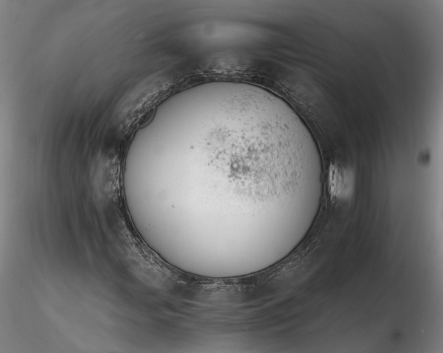 X0000116261107200912211730