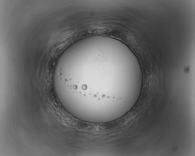 X0000116261109200912211730