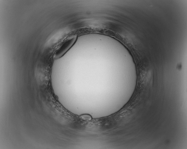 X0000116261110200912211730