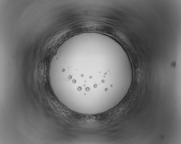 X0000116261111200912211730