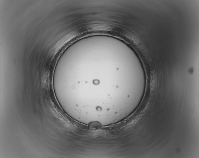 X0000116261113200912211730