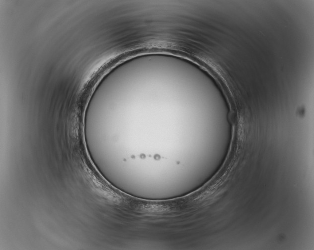 X0000116261115200912211730