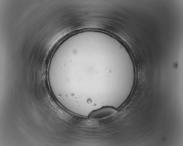 X0000116261119200912211731