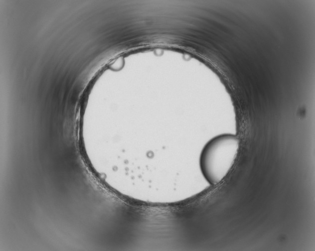 X0000116261126200912211731