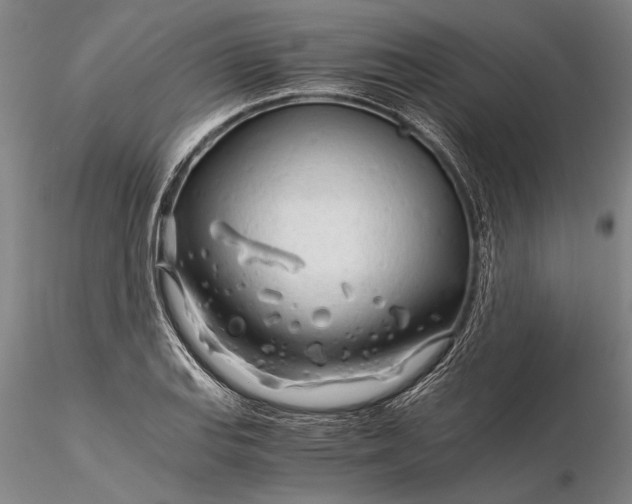 X0000116261127200912211731