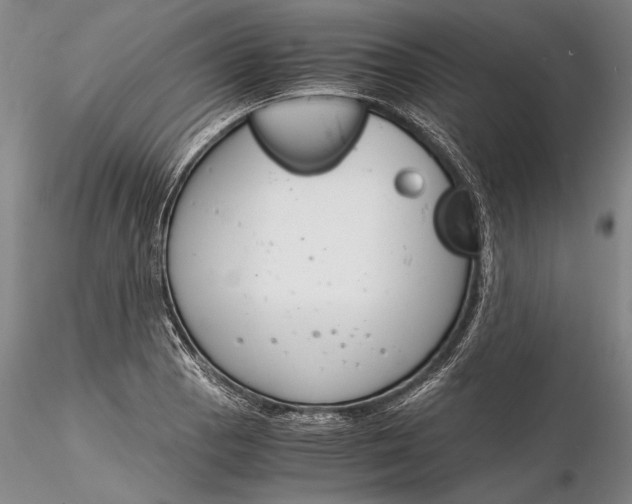 X0000116261129200912211731