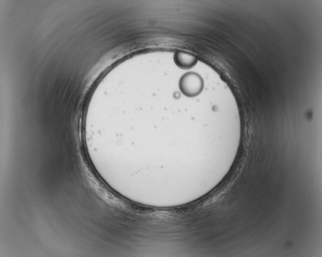 X0000116261130200912211731