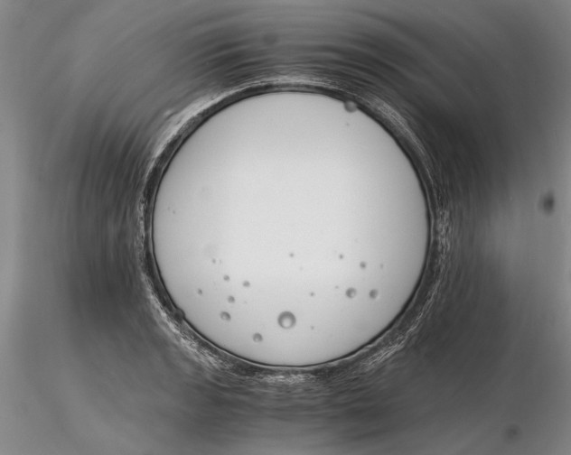 X0000116261133200912211731