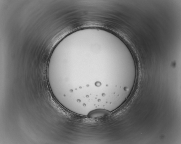 X0000116261137200912211731