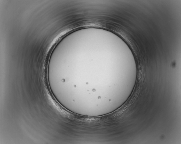 X0000116261139200912211731