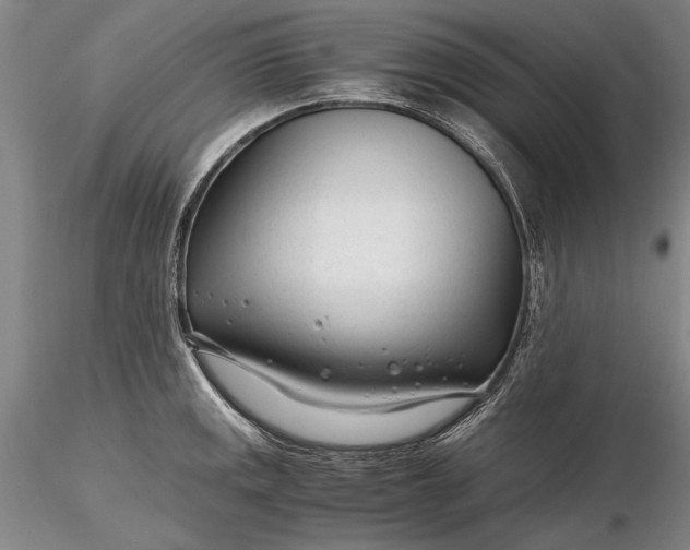 X0000116261141200912211731