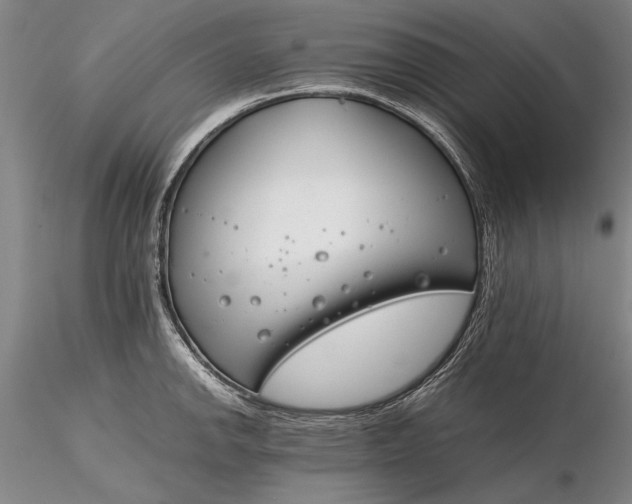 X0000116261142200912211731