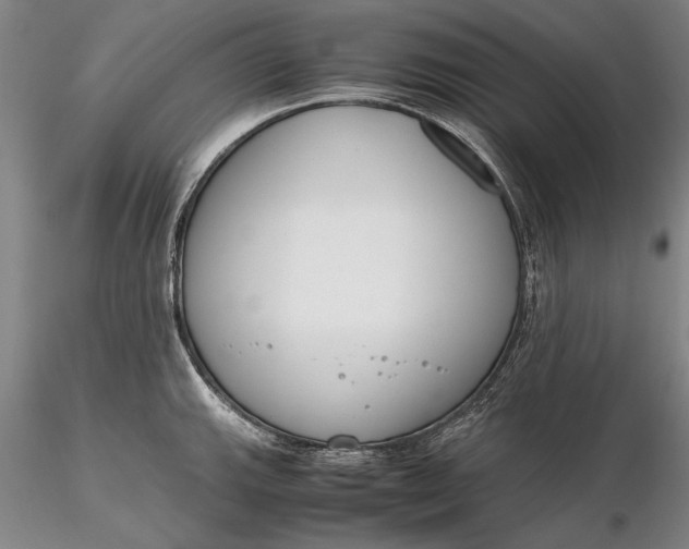X0000116261143200912211731