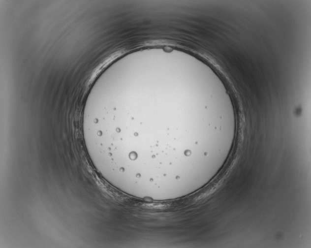 X0000116261145200912211731