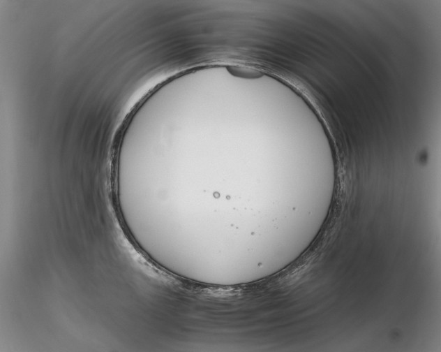 X0000116261147200912211731
