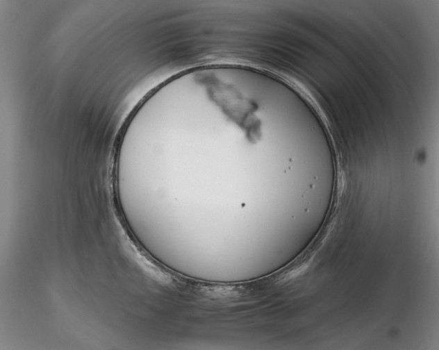 X0000116261149200912211731