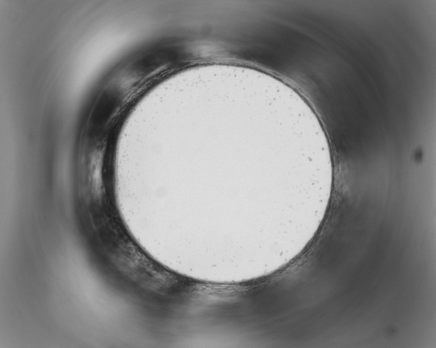 X0000116261150200912211731