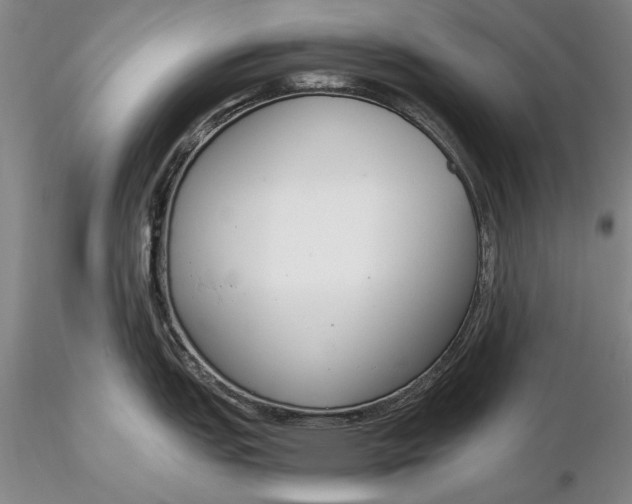X0000116261151200912211731