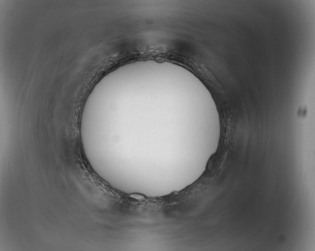 X0000116261153200912211730