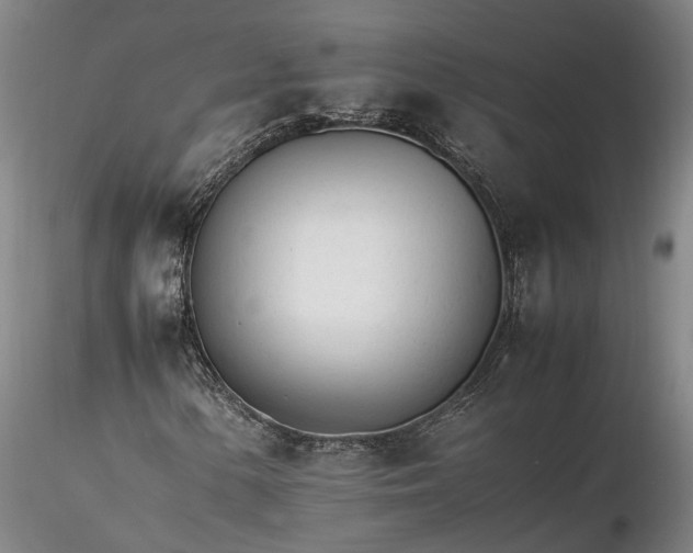 X0000116261154200912211730